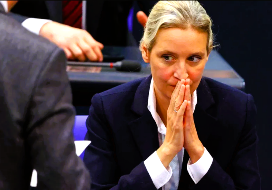 AFD-Beben! Europas Rechte schmeißen die AFD raus! "Übler Imageschaden" sagt sogar Alice Weidel!