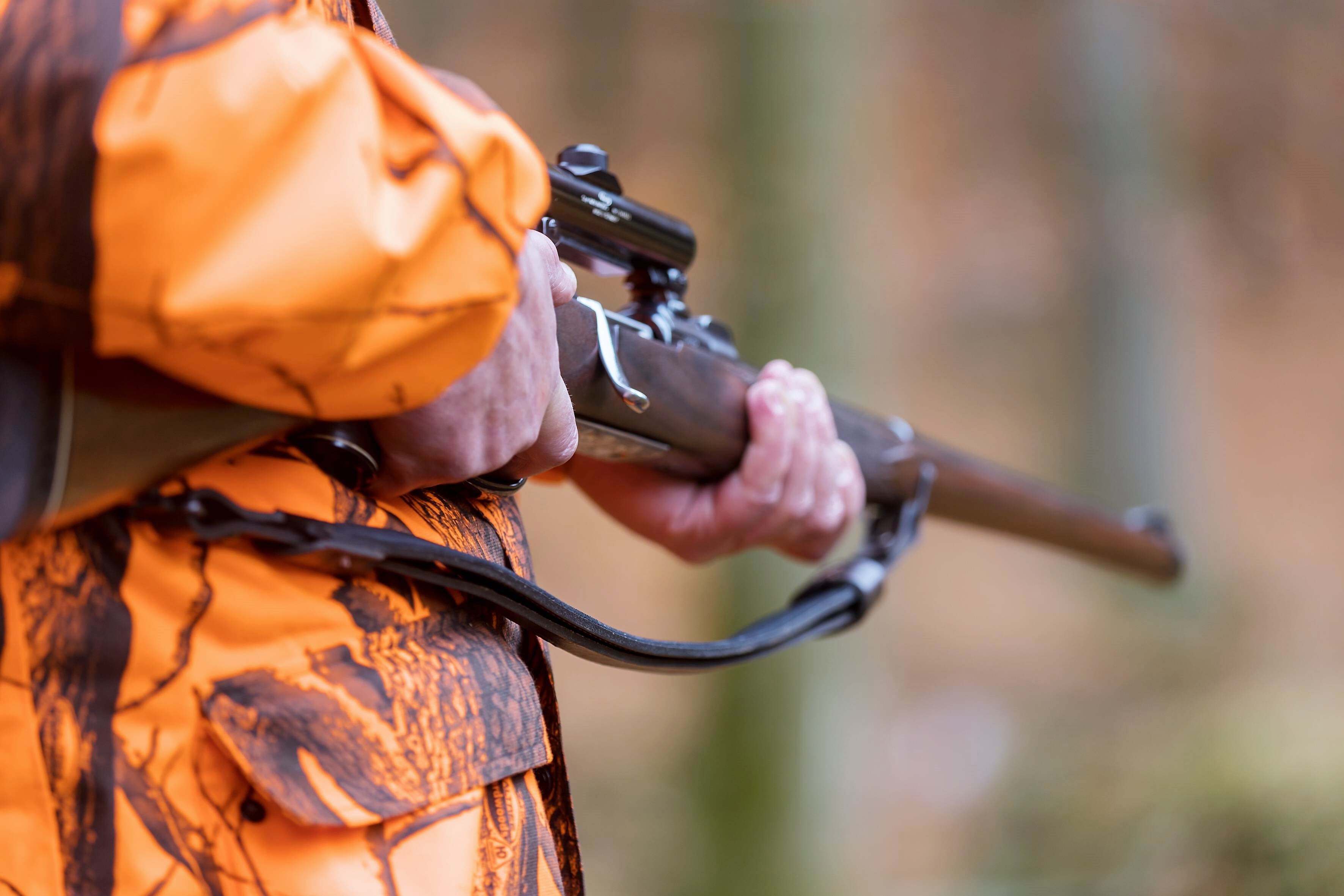 Bären-Alarm in Bayern! Wildkamera erwischt riesigen Bären - Experten besorgt!