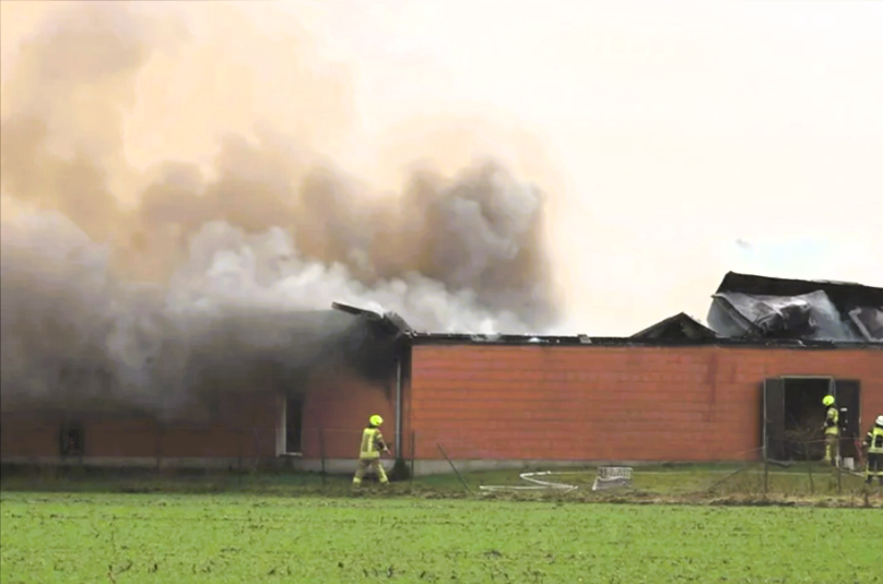 200 Schweine verbrennen im Stall! Schrecklicher Brand wütet auf Bauernhof - sogar Autobahn beeinträchtigt
